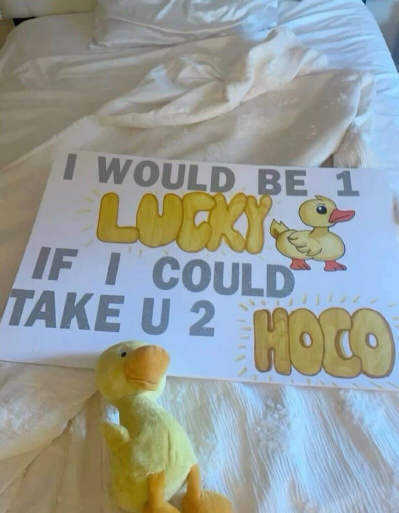 Hoco proposal poster with duck theme and a yellow plush duck toy.